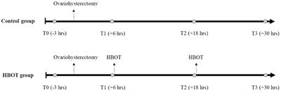 Effects of Ovariohysterectomy and Hyperbaric Oxygen Therapy on Systemic Inflammation and Oxidation in Dogs